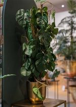 umjetna Monstera 75cm 3 stebelna