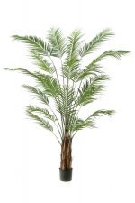 Umjetna palma Areka 240 cm