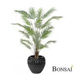 Umjetna palma Areka 240 cm