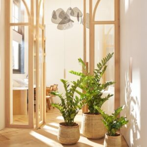 umjetne zamije - umjetne biljke