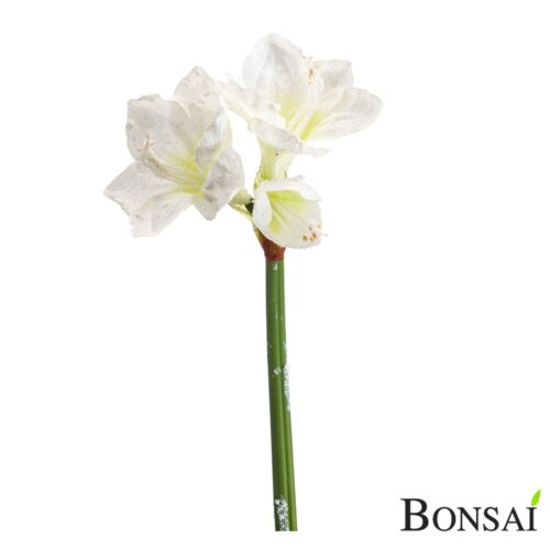 Umjetni Amarilis 68 sa snijegom