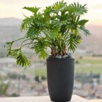 Ukrasna tegla za cvijeće Meti 74 x 50 cm antracit