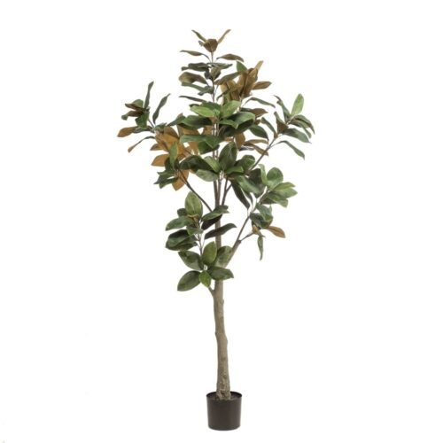 Umjetna-magnolija-180-cm-1030x1030