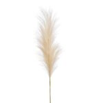 Umjetna pampas trava 115 cm cream