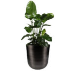 Saksija metalna Malik siva boja 31×31 cm-2