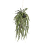 Viseca-paprat-u-kugli-d70cm