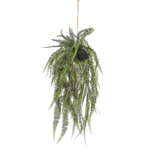 Viseca-paprat-u-kugli-d70cm