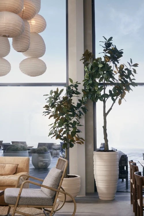 Umjetne biljke - umjetno stablo magnolia