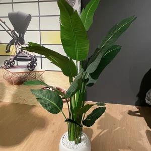 Umjetna strelicija - umjetne biljke BONSAI