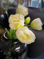 umjetne tulpe bijele umjetno cvijeće