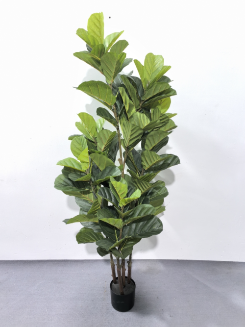 Umelý figovník Lyrata 150 cm