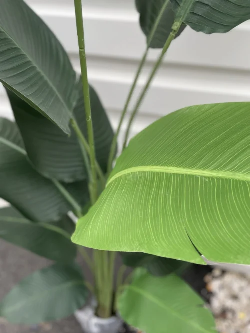 Umjetna strelicija 210 cm - 14 grana