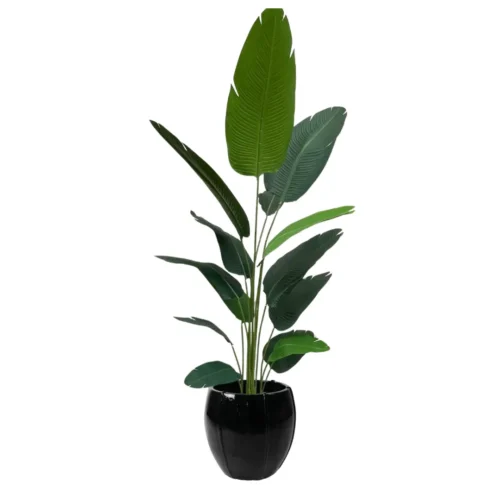 Umjetna strelicija 210 cm - 14 grana