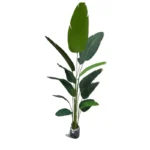 Umjetna strelicija 210 cm - 14 grana