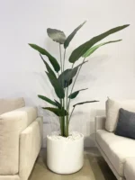 umjetne biljke - strelicija 210 cm