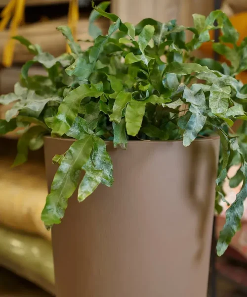 Dekoratívny kvetináč Brooklyn 75 x 40 cm – matná taupe farba