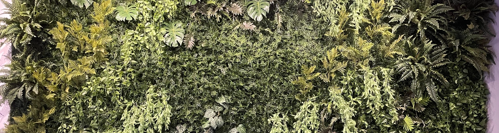 Umelé zelené steny sú praktické, odolné a esteticky atraktívne riešenie vhodné pre každý priestor.