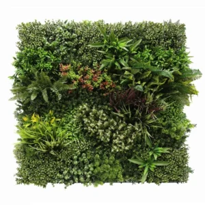 Zelená stena Andora 100 cm x 100 cm