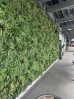 Zelená stena Andora 100 cm x 100 cm