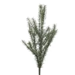 Rozmarínový krík 60 cm UV