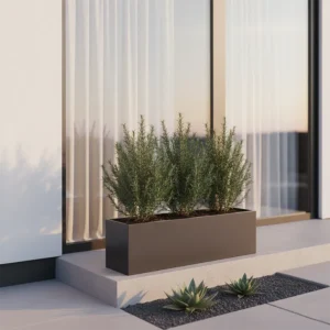 Rozmarínový krík 60 cm