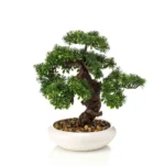 Umelý bonsaj Fikus 37 cm v bielom kvetináči