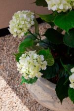 Umelá hortenzia 90 cm s UV zoom Umelá hortenzia 90 cm s UV zoom