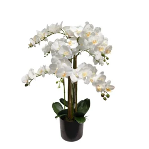 Umelá orchidea biela 80 cm Lia Real Touch