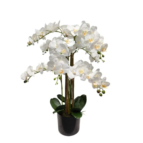 Umelá orchidea biela 80 cm Lia Real Touch