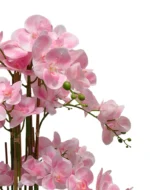 Umelá orchidea ružová 80 cm Eterna Real Touch Umelá orchidea ružová 80 cm Eterna Real Touch