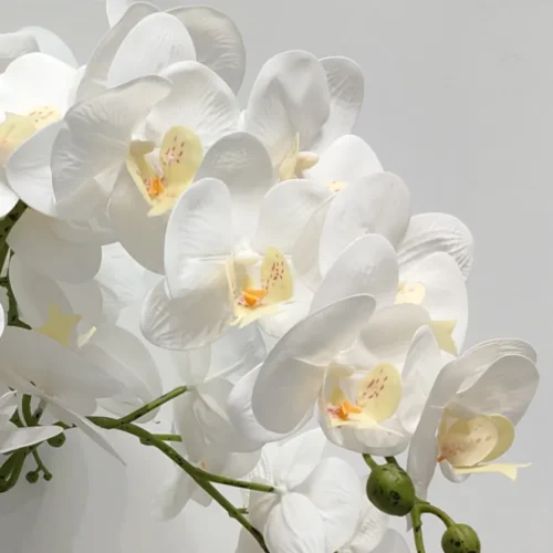 Umelá orchidea biela 80 cm Lia Real Touch