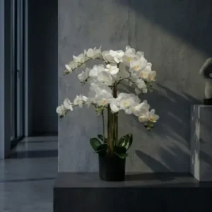 Umelá orchidea biela 80 cm Lia Real Touch