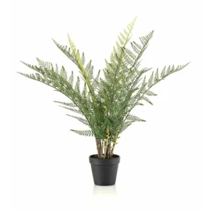 Lesná papraď UV 65 cm