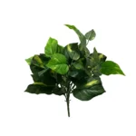 Philodendron krík 46 cm UV