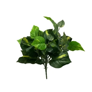 Philodendron krík 46 cm UV