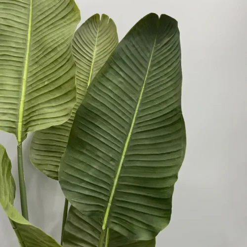 Umelá strelícia Pure 180