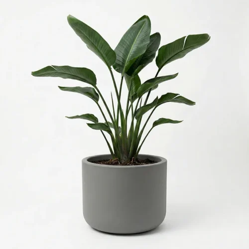 Kvetináč Pulse 50 Tera Italy