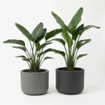 Kvetináč Pulse 50 Kvetináč Pulse 50