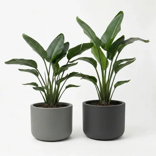 Kvetináč Pulse 50 Kvetináč Pulse 50