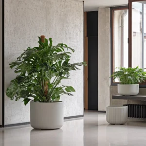 pulse-lonec-za-roze-pescena-barva