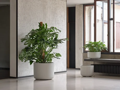 pulse-lonec-za-roze-pescena-barva