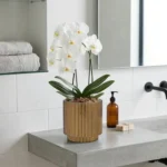 Zlatý kvetináč Nature Groove 17 cm s izbovou rastlinou