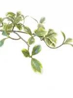 Detail realistických listov umelého stromu Eira 170 cm