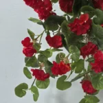 Detail realistických červených kvetov umelého muškátu
