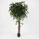 Točené kmene umelého fikusu Detail točených kmeňov umelého fikusu 170 cm