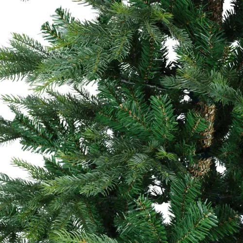 Detail hustej koruny stromčeka Grandis 210 cm