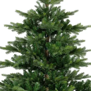 Detail hustej koruny stromčeka Grandis 210 cm